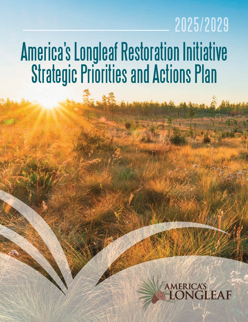 Strategic Priorities And Actions 2025-2029 Cover