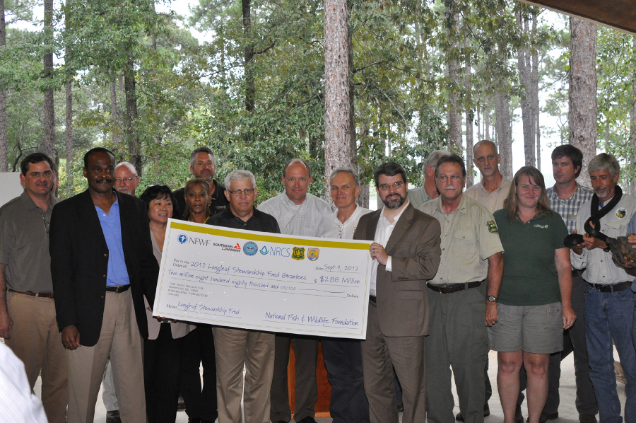Check Presentation at the Bear Lake area of the Blackwater River State Forest, Santa Rosa County, FL - Photo by Sean Smith, Gulf Power