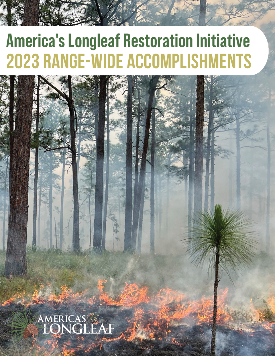 2023 Cover Page